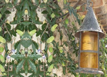 Bed and Breakfast Mas Bella Cortis Ла-Гард-Адэмар Экстерьер фото